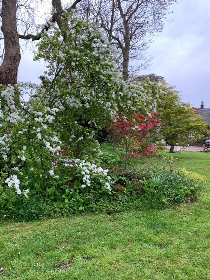 Le Pre Aux Loups Villa Hautot-sur-Mer Eksteriør bilde